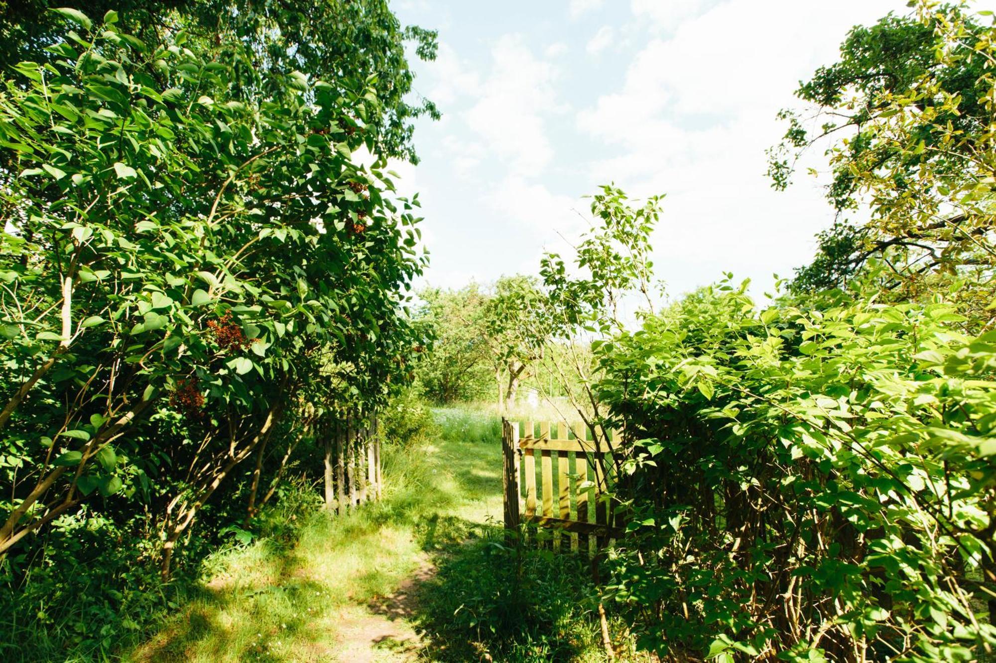 Feriendomizil Alter Garten Temmen-Ringenwalde Exterior foto